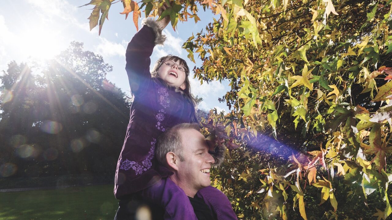 A child sitting on a man's shoulders, reaching up and grabbing a tree branch