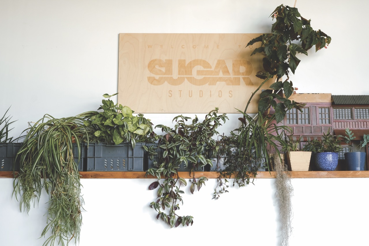 Wooden signage fro Sugar Studios with a shelf of plants in front
