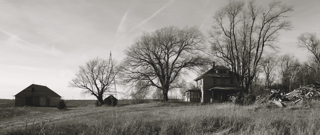 Passing (left), Frances Ha (centre) and Nebraska (this image) spearhead the revival in black & white films. Image Paramount A black and white landscape with bare trees, a waste pile and a small house