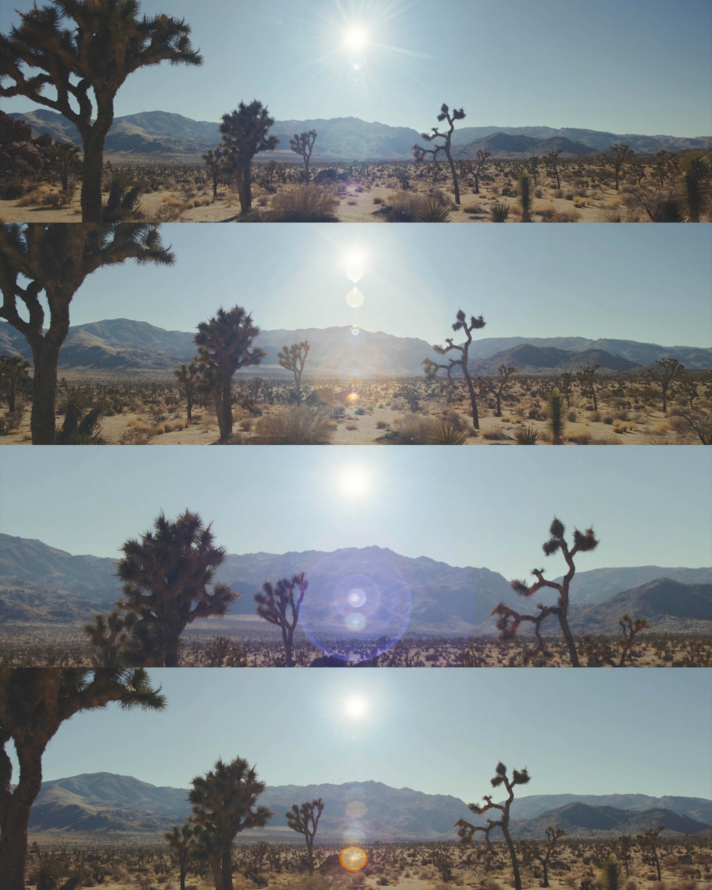 Four iterations of the same desert landscape in a column, with light streaming in from different angles